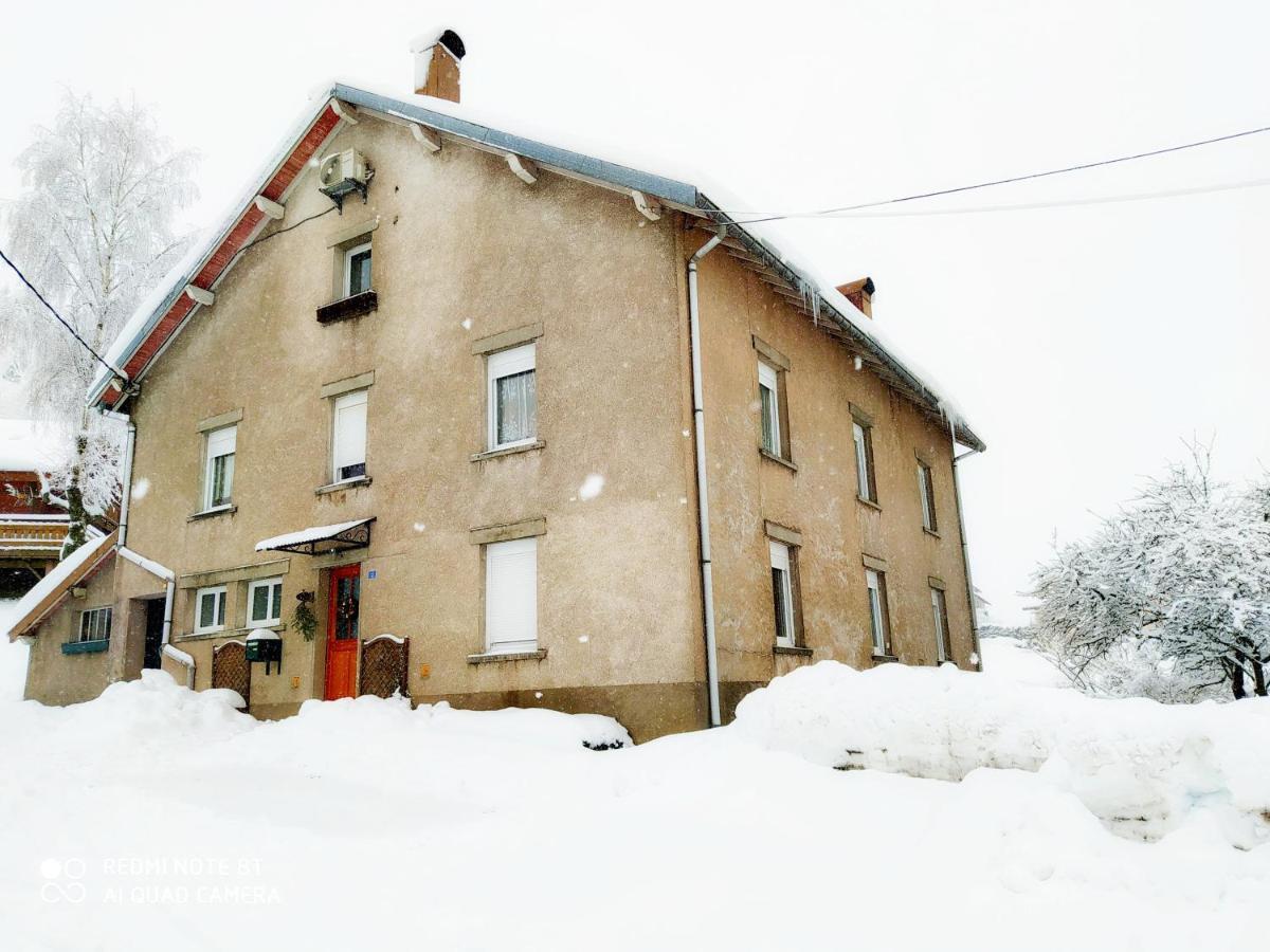 Appartement Maison Vosgienne La Bresse Centre Екстер'єр фото